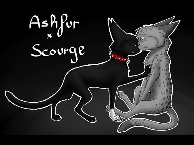 Warrior Cats - Scourge:. — Weasyl