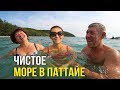 Родители в Тайланде - Чистое МОРЕ в Паттайе, Прозрачная Вода за 20 бат, Вот это Отдых