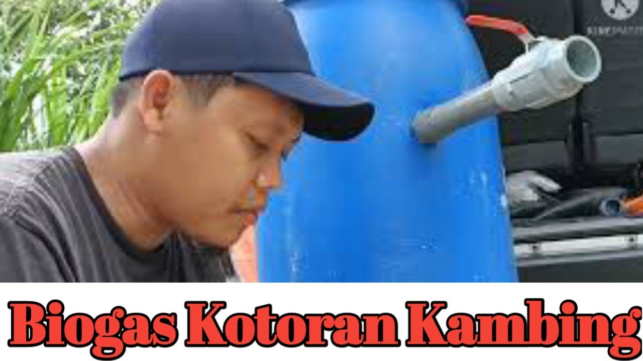Tutorial Instalasi Biogas Dengan Kotoran Kambing make biogas plant at home with goat manure