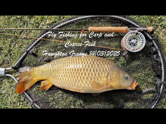 shimano 5000 gte c baitrunner reel 2 x B Carp Fishing Reels. + 2 Spare Spools – Vintage Carp Fishing Tackle Striped Bass Bass Fishing Brass Charms Shimano’s award Combo Size:4000 Size Reel - 7'6