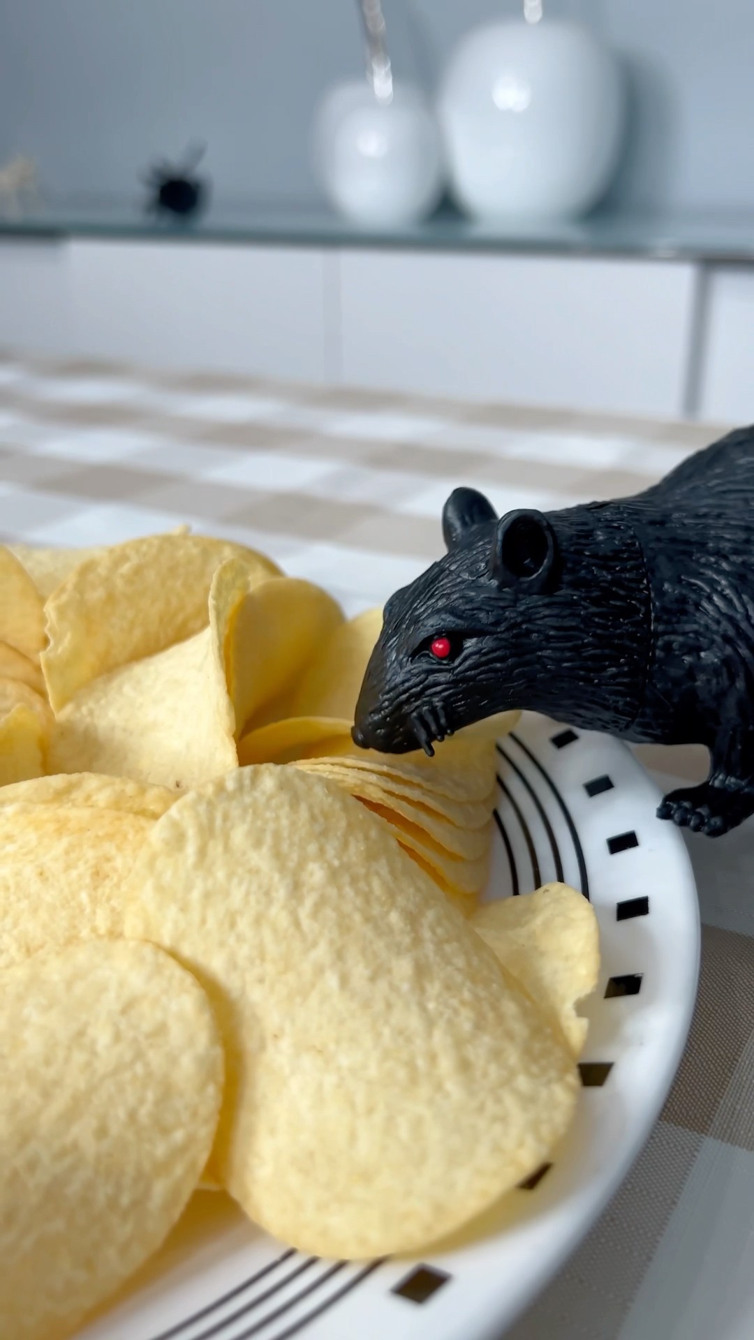 Monster rat ate his chips  ?? #shorts