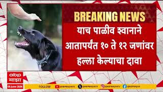 Pune Dog Case : पुण्याच्या पर्वती परिसरात पाळीव श्वानाचा तिघांवर हल्ला