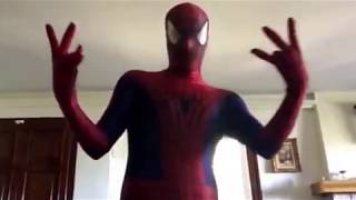 Spiderman Demo (Morphsuits Costume)