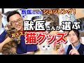 【獣医さんとコラボ】獣医さんがオススメする猫グッツをご紹介♪猫のオヤツやオモチャの注意点も解説！