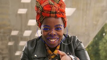 Video Demonstration - Human Face Landmark Detection