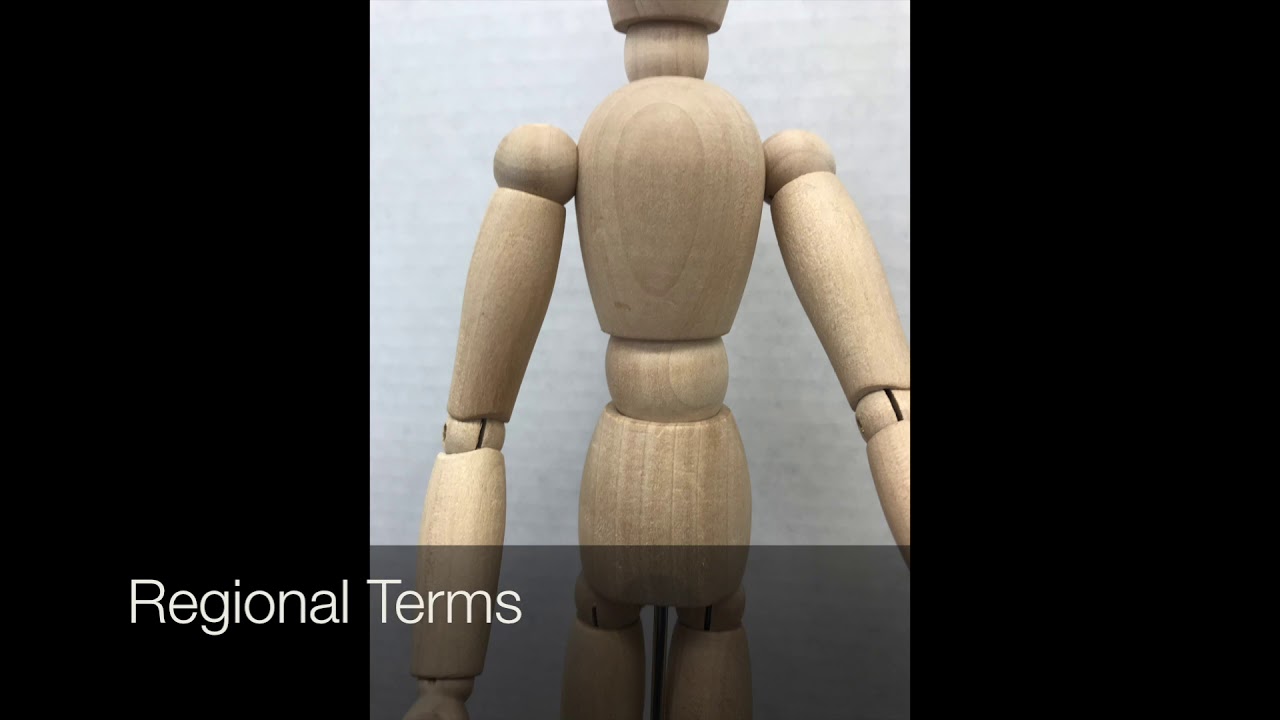 Medical Terminology YouTube