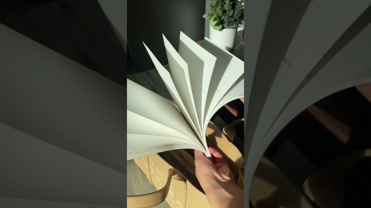 Elevate Your Everyday Tote with ToteSavvy Deluxe Bag Organizer