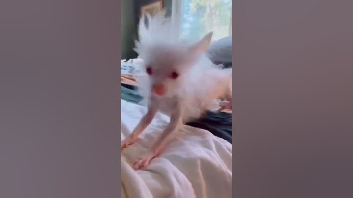 Когда легла спать с мокрой головой🤣