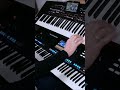 German Golden HitMix I Live Synth Performance I Yamaha & Korg I Bad Boys Blue