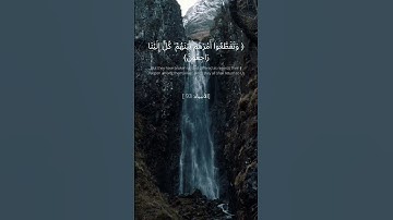 تلاوة خاشعة