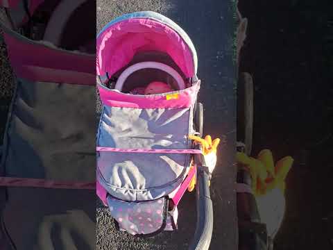 Baby girl is going for a walk 🚶‍♂️ 😍 playing time