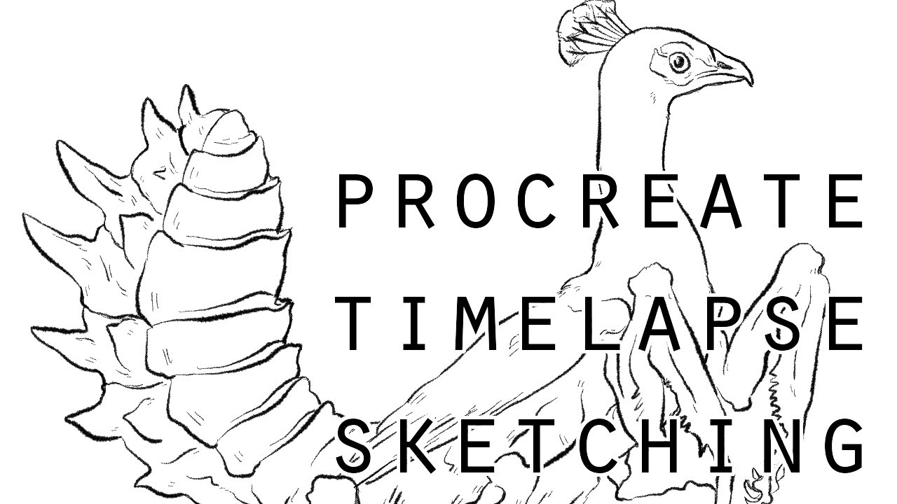 TIME LAPSE ☆ Creature Design & Sketch ☆ iPad Pro & Procreate! - YouTube