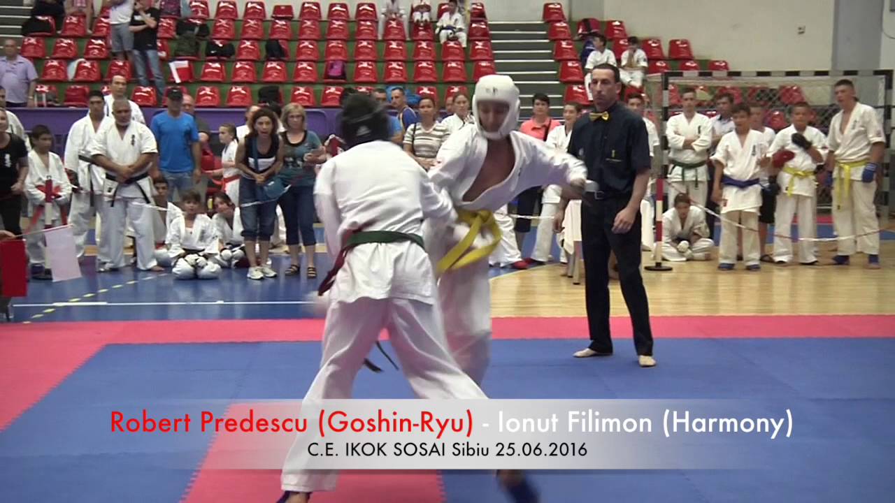 Robert Predescu (Goshin Ryu) - Ionut Filimon (Harmony) camera iphone 8 plus apk