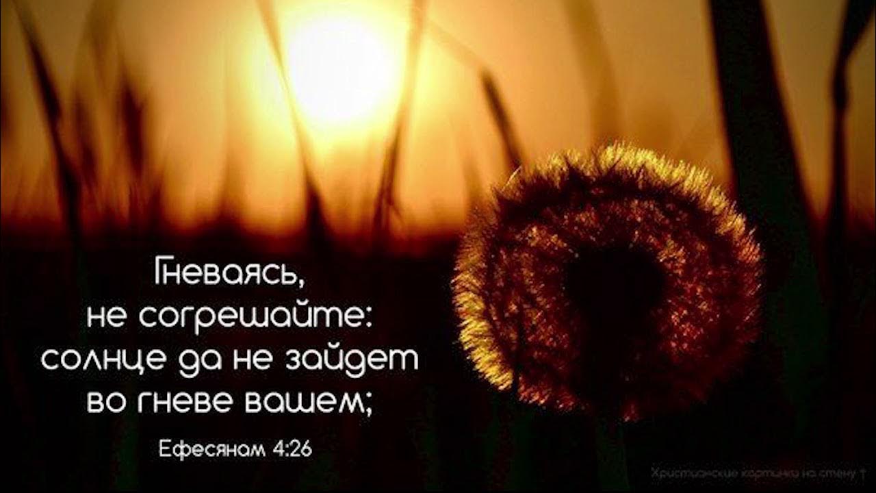 солнце во гневе вашем. посему, отвергнув ложь, говорите истину. фото «солнце да не зайдет во гневе вашем» (еф. библия ефесянам. да не зайдет солнце во гневе вашем.