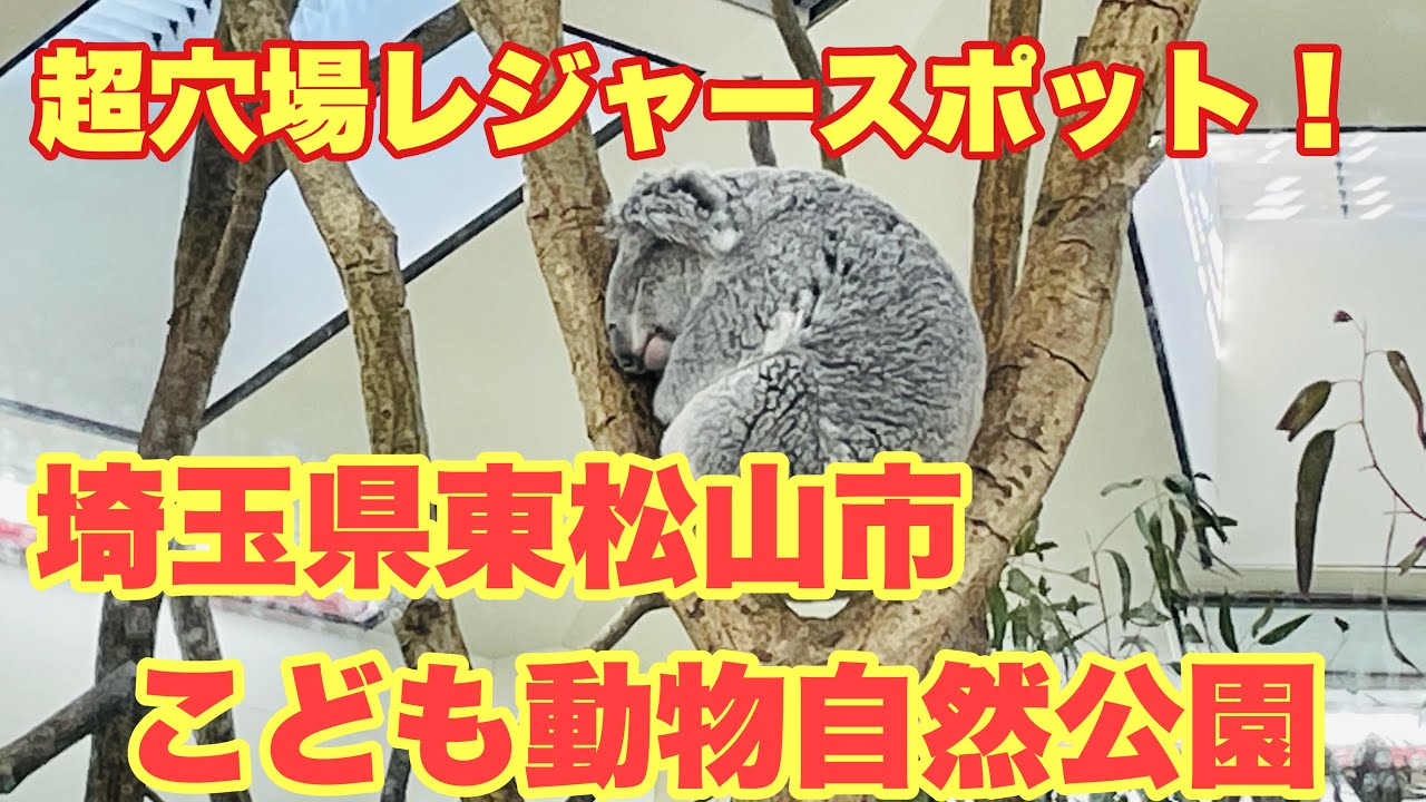 動物園】東松山市こども動物自然公園に行ってみた【埼玉県】 - YouTube