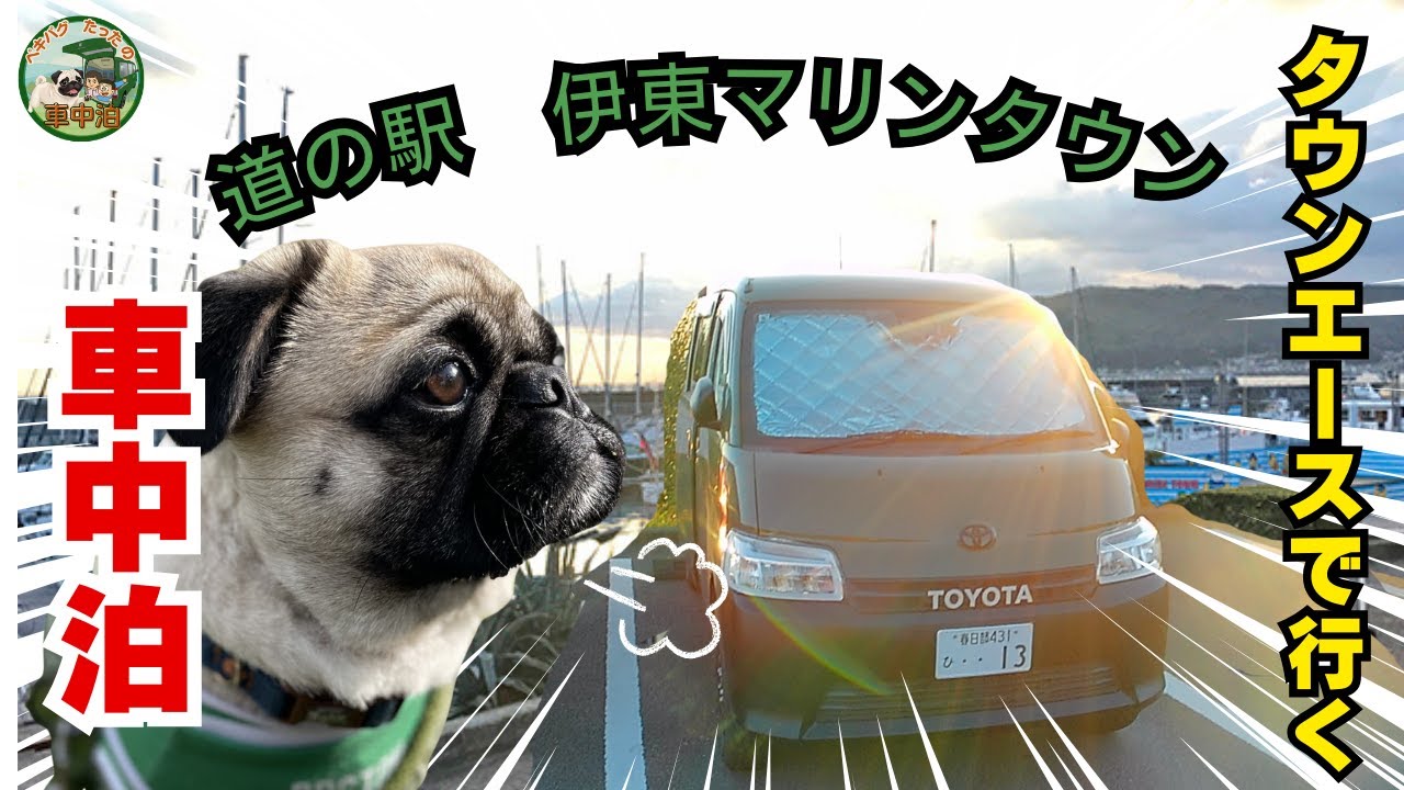 【旅犬　たった　伊東マリンタウンで車中泊の旅】