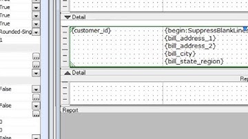 V11 Reports - More About Boxes