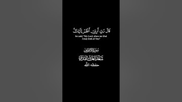 قال رب أرني أنظر إليك... #قرآن #سورة_الأعراف #القارئ #سعد_الغامدي #تلاوة_خاشعة #كرومات #اكسبلور