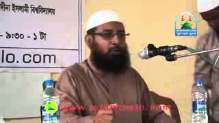 মুসলিম উম্মার দূর্ভোগ এত সহজে যাবেনা  ড  মনজুর এ এলাহী