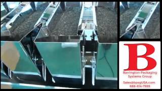 BPS Four Head Linear Scale System for HFFS and VFFS Barrington
