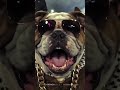 Music video