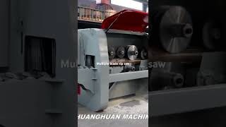 Log multiple blade rip saw