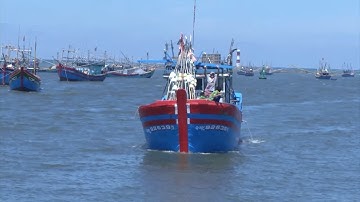 Tin Tức 24h: Quảng Ngãi đưa ngư dân bị nạn trở về đất liền