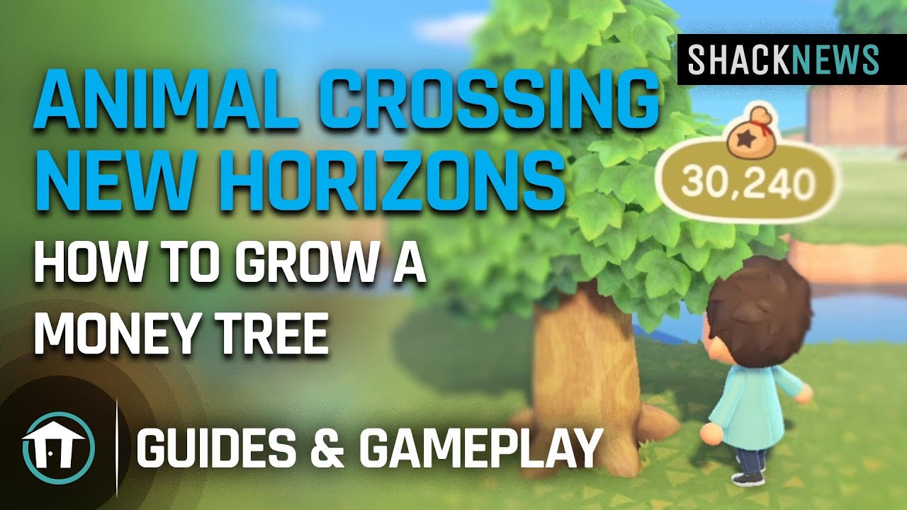 How To Grow A Money Tree Animal Crossing New Horizons Shacknews