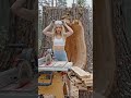 Makio needs your advice on ideas for renovating this tree stump #help #forest #house #learn