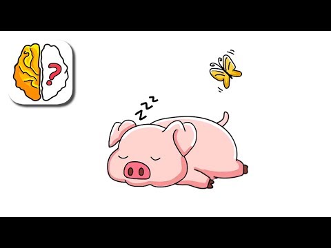Brain Out Проснись, маленький поросенок