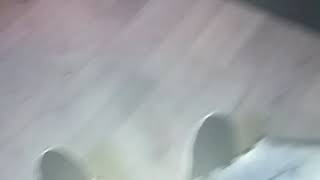 Skwilo Gee Fighting Demons