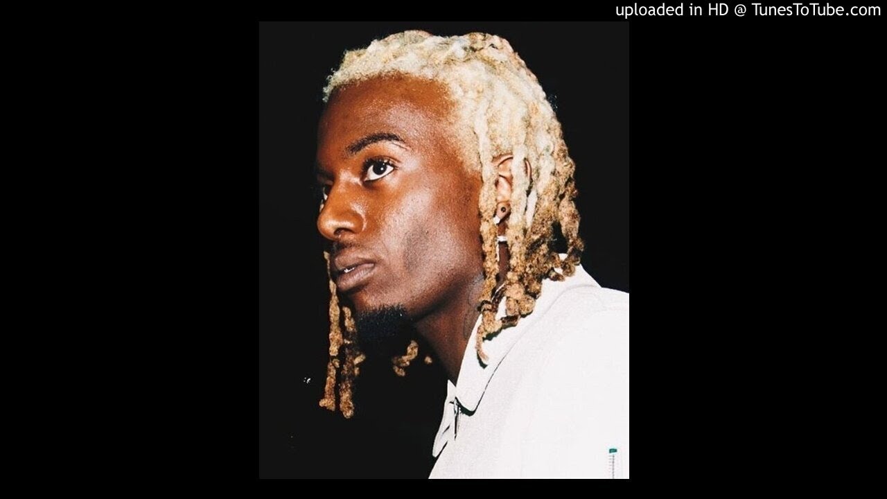 [FREE] Playboi Carti x Pierre Bourne x Cochise Type Beat - 