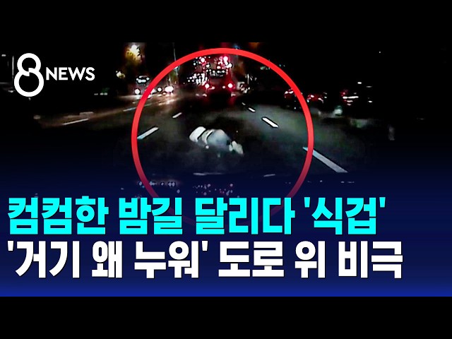 컴컴한 밤길 달리다 '식겁'..'거기 왜 누워' 도로 위 비극 / SBS 8뉴스
