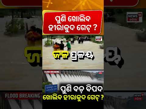 ପୁଣି ଖୋଲିବ ହୀରାକୁଦ ! Odisha Rain Update: Nuapada Receives 164 mm Rainfall Weather News। Flood Alert