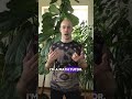 Is math for you? #calculus #motivation #mathtutor #shorts