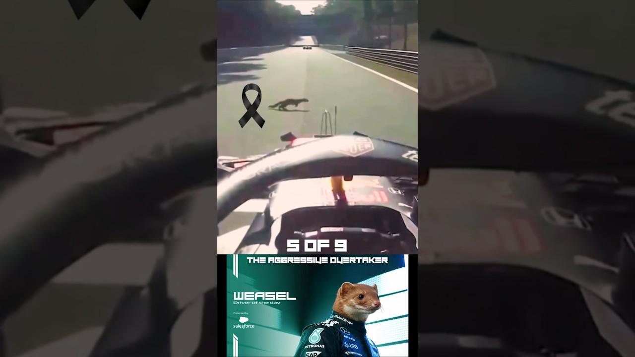 5 of 9 - The Weasel That Shocked the F1 Paddock 🏁 