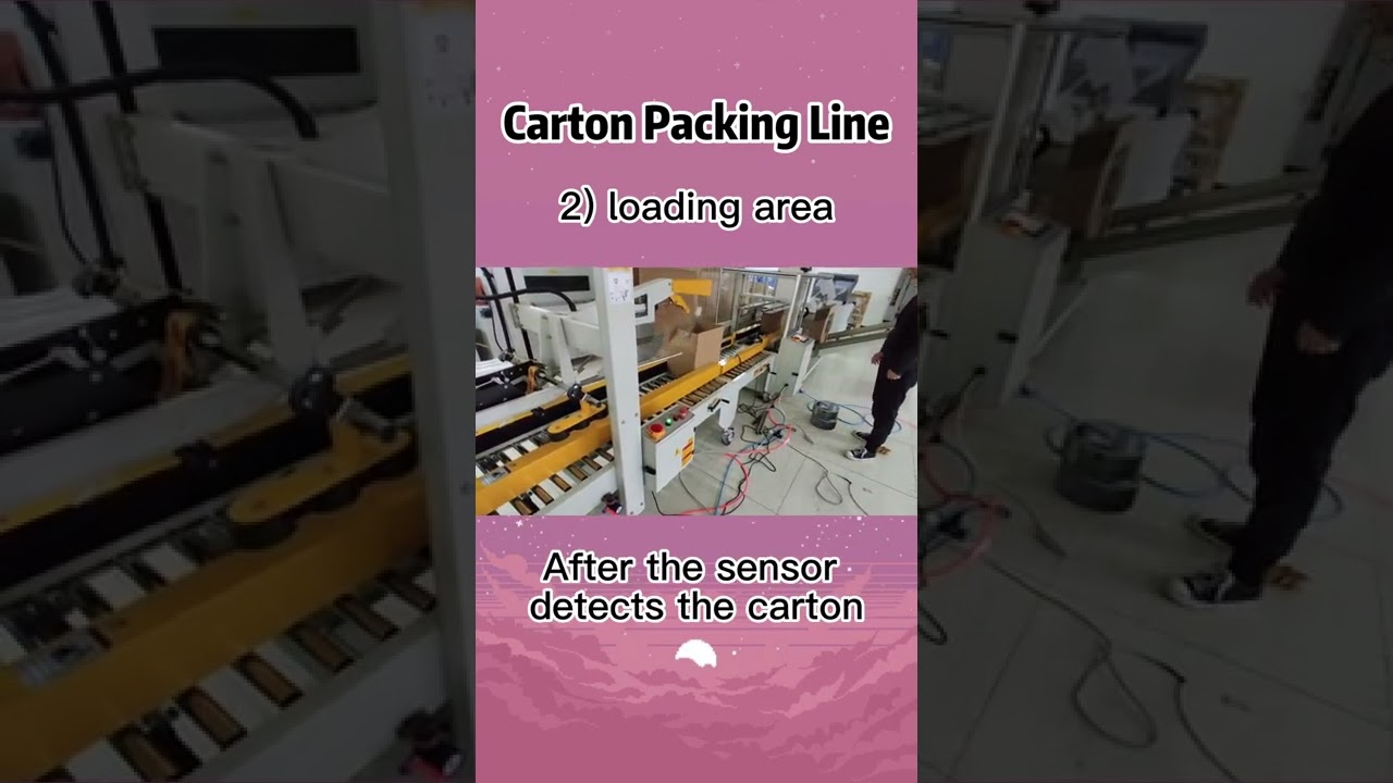 Carton packing line 