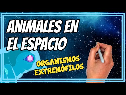 Video: ¿Qué animales viven en ambientes extremos?