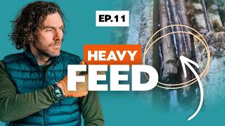 🐝 The Overwintered Nuc System - Episode 11 - Heavy 2:1 Feeding and Final Winter Prep