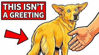 Why Dogs ALWAYS Sniff THERE — The Reason Is Actually Genius