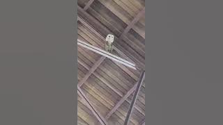 estamos de fiesta con jesus