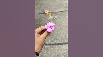 A Day as❤️ BHU (FMC)🌸 Student #bhu #bhuworld #hostellife #vlog #bhulife #minivlog #shortvideo