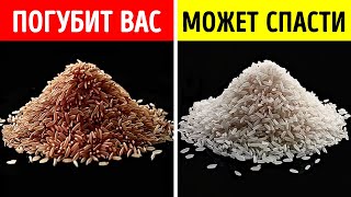 Секретные продукты, которыми следует запастись на случай апокалипсиса