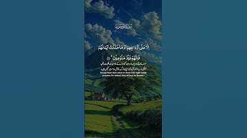 سورة المؤمنون#المصحف #اكسبلور  #راحة نفسية#لايك