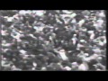 كاظم الساهر عقال الراس ارشيف