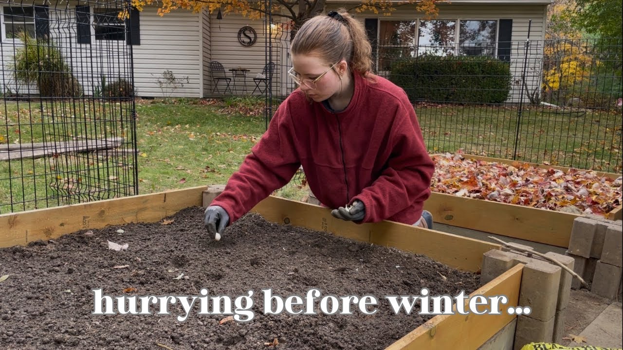 Заполняем грядки и сажаем чеснок! | Проект расширения сада (Эпизод 4) 🪏🪴