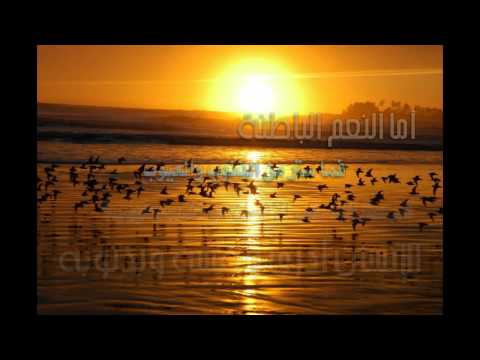 من آثار اسم الله الغفور للشيخ محمد بن سلطان القرني مؤثر