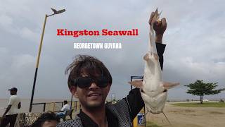 Kingston Seawall Fishing is INSANE Right Now! 🎣