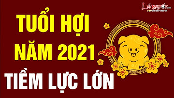 Tử Vi Tuổi Hợi Năm 2021 Tân Sửu Đánh Thức Tiềm Năng Bứt Phá Thành Công - Tử Vi 12 Con Giáp