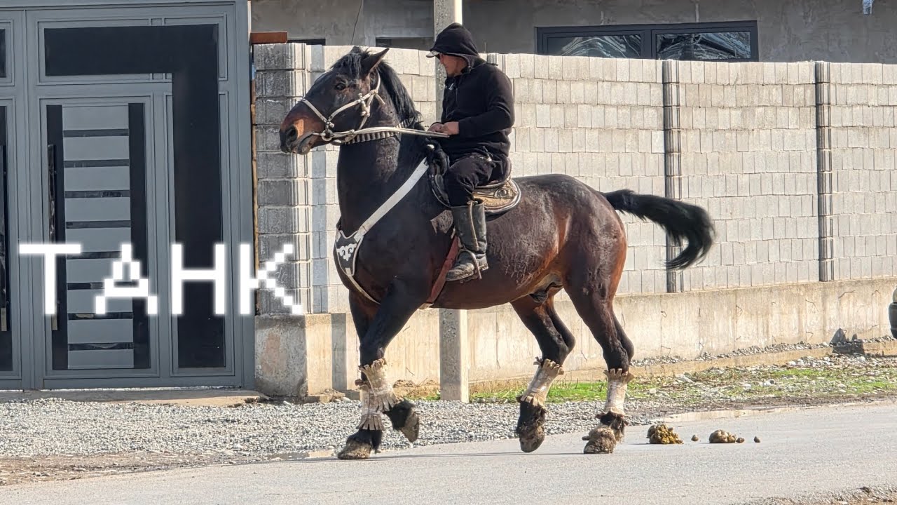 ТАНК 💥ар кандай жыйынга алдынын аты